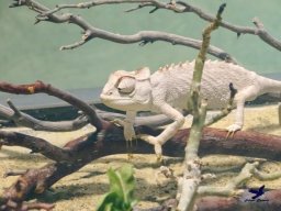 Haus des Meeres 13.03.2026